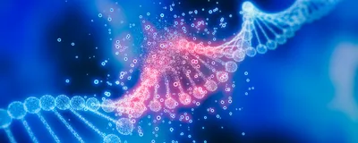 Tackling Translational Needs in Gene Editing