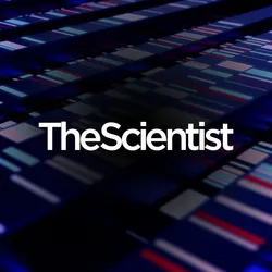 Six-Base Genome Biomarkers for Early Colorectal Cancer Detection