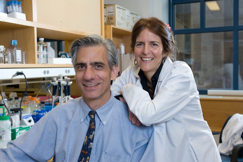 Physician scientist Jean Bennet stands behind retinal surgeon Albert Maguire with her arms over his shoulders. The two are in a research lab, wearing white lab coats, and are smiling at the camera.
