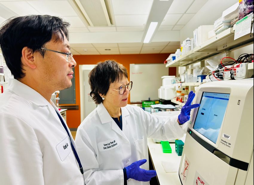 Swee Lay Thein uses a scientific instrument with a touchscreen with a trainee in her lab at the National Heart, Lung, and Blood Institute.