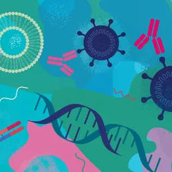 Conceptual illustration highlighting gene editing technology. Cartoon antibodies, viral and lipid vectors, and a syringe are arranged over a background of pink, green, and blue shapes.