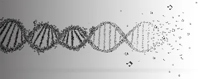 Genome Music: Rare Disease Sequences Turn Into Songs | The Scientist