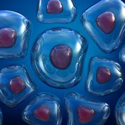 An illustration of differently shaped human cells on a blue background.