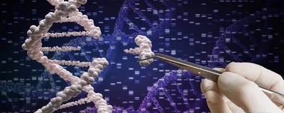 Genetic manipulation and DNA modification concept
