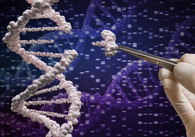 Genetic manipulation and DNA modification concept