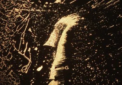 A dark-field microscopy image with golden particles that resemble a seahorse.