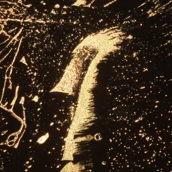 A dark-field microscopy image with golden particles that resemble a seahorse.