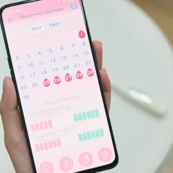 Point of view of a hand holding a phone showing a menstrual tracking app.
