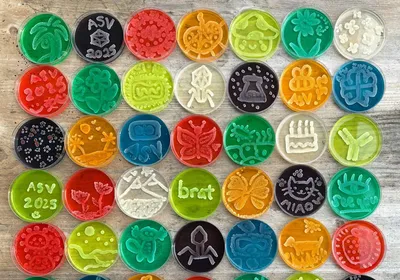 Image of various agar plates of different colors with different images growing on the surface.