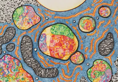 An artistic representation of autophagy inspired by transmission electron microscopy imagery.