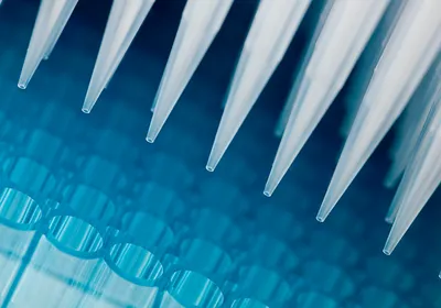 Automated multi-channel pipette dispensing clear liquid into a 96-well plate for rapid sterility testing.