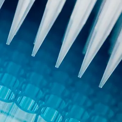 Automated multi-channel pipette dispensing clear liquid into a 96-well plate for rapid sterility testing.