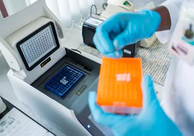 Researcher loading PCR tubes into a thermocycler for mycoplasma testing.