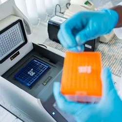 Researcher loading PCR tubes into a thermocycler for mycoplasma testing.