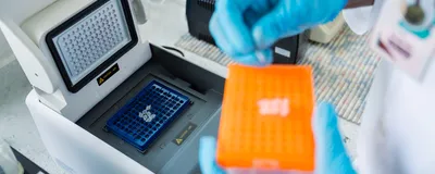 Researcher loading PCR tubes into a thermocycler for mycoplasma testing.