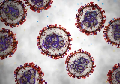 Circular viral particles, representing hantaviruses, are shown in blue and red against a light background.