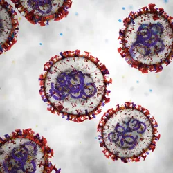 Circular viral particles, representing hantaviruses, are shown in blue and red against a light background.