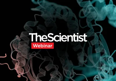 Teaching AI to Invent Enzymes Nature Never Imagined