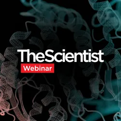 Teaching AI to Invent Enzymes Nature Never Imagined