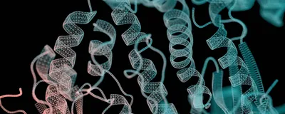 Teaching AI to Invent Enzymes Nature Never Imagined