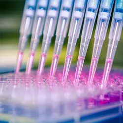 Image of multichannel pipette dispensing pink fluid into multiwell plate.