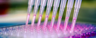 Image of multichannel pipette dispensing pink fluid into multiwell plate.
