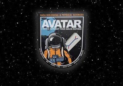 Photograph of the Artemis II mission patch on a background resembling space. The patch has an astronaut in an orange spacesuit beside a cartoon of a an organ-on-a chip. The word "AVATAR" is at the top in white.