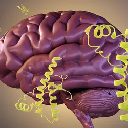 A pink brain is surrounded by yellow protein structures, representing the misfolded PrP protein that causes prion disease. 