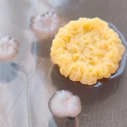 Image of a bright yellow noodle-like bacterial colony growing on an agar plate. There are three smaller white and mucoid colonies next to it.