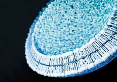 An empty lipid nanoparticle called a pre-formed vesicle is shown in blue against a black background.