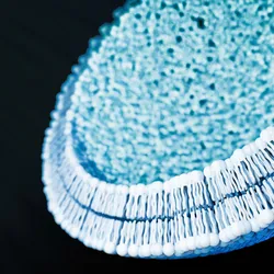 An empty lipid nanoparticle called a pre-formed vesicle is shown in blue against a black background.
