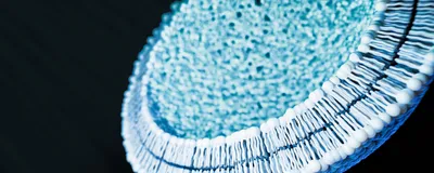 An empty lipid nanoparticle called a pre-formed vesicle is shown in blue against a black background.