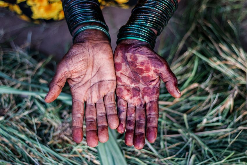 A woman’s hands are shown. Her left hand is decorated with henna, while her right hand is not. A woman’s hands are shown. Her left hand is decorated with henna, while her right hand is not.