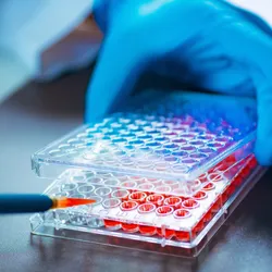 A photo of a scientist adding cell culture medium to a 96-well microplate using a pipette.