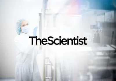 Scaling Cell Therapy Manufacturing From Research to GMP