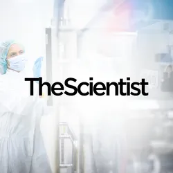 Scaling Cell Therapy Manufacturing From Research to GMP