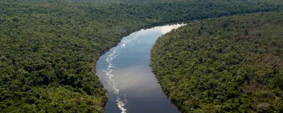 Medical Interventions Rapidly Change Isolated Indigenous Microbiomes ...