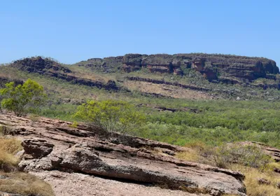 Photograph of a large rock outcropping in a basin with green shrubby trees at its base under a clear blue sky
