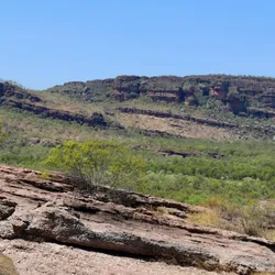 Photograph of a large rock outcropping in a basin with green shrubby trees at its base under a clear blue sky