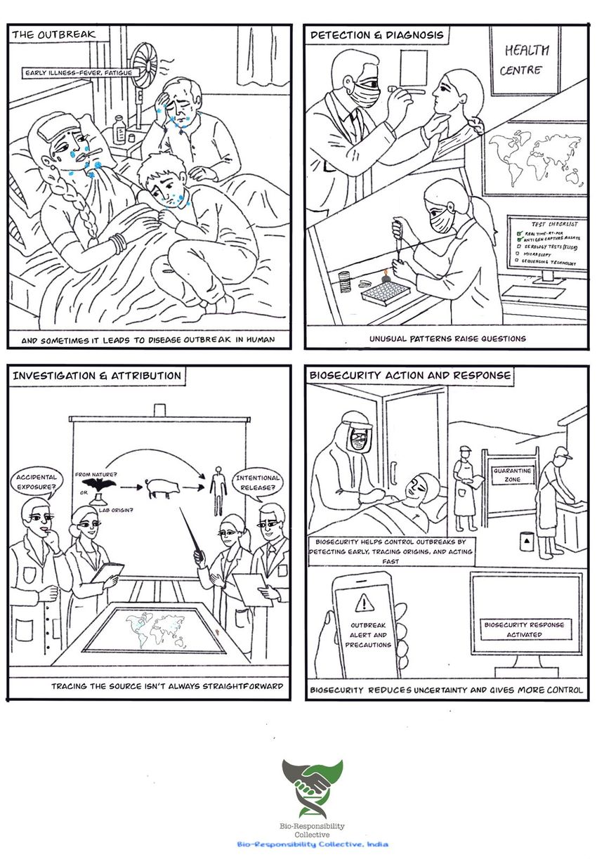 A comic with four black and white panels shows people sick in the hospital, getting tested of an infection, an investigation of the source, and the biosecurity response. A comic with four black and white panels shows people sick in the hospital, getting tested of an infection, an investigation of the source, and the biosecurity response.