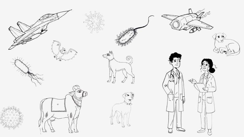 A series of images used in the biosecurity comics are shown as black and white line drawings. Many of the people and animals have elongated eyes, which is characteristic of a traditional Indian art form. A series of images used in the biosecurity comics are shown as black and white line drawings. Many of the people and animals have elongated eyes, which is characteristic of a traditional Indian art form.