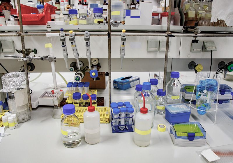 The Lab Chores Scientists Secretly Love | The Scientist