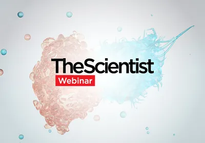 Scaling the Next Generation of T Cell Therapies
