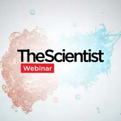 Scaling the Next Generation of T Cell Therapies