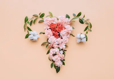 A uterus with ovaries is depicted in flowers over a cream-colored background.