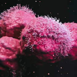 A 3D-rendered view of malignant cancer cells. 