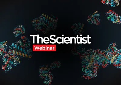 Megascale Biophysics for Protein Engineering