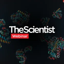Megascale Biophysics for Protein Engineering