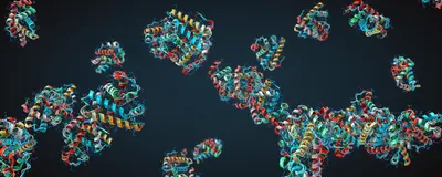 Megascale Biophysics for Protein Engineering