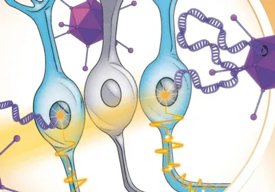 Concept illustration of optogenetics therapy: A drawing of black goggles receiving a beam of light than is then transmitted to an eyeball. from the retina there is a zoom-in of blue and purple cells and purple viruses.